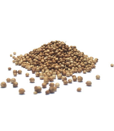 Κόλιανδρος Σπυρί