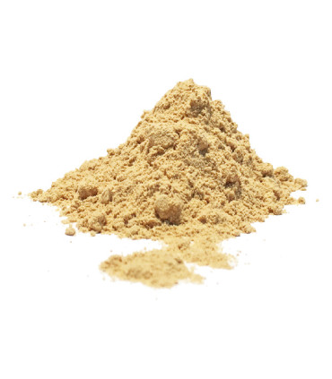 Τζίντζερ Αλεσμένο