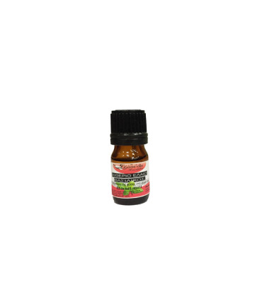 Αιθέριο Έλαιο Βασιλικός-Basil Oil 5ml
