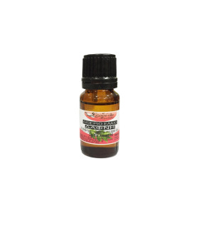 Αιθέριο Έλαιο Δάφνη-Laurel Leaves Oil 10ml