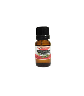 Αιθέριο Έλαιο Δεντρολίβανο-Rosemary Oil 10ml