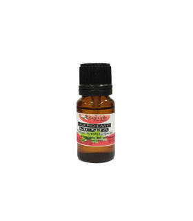 Αιθέριο Έλαιο Μέντας-Peppermint Oil 10ml