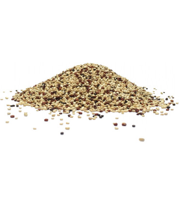 Κινόα Τρίχρωμη