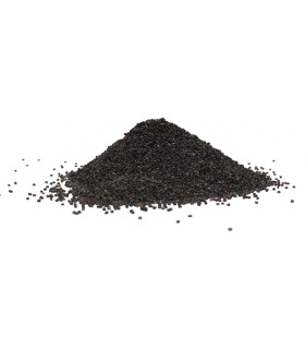 Παπαρουνόσπορος