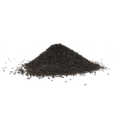 Παπαρουνόσπορος