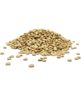 Φακές Ψιλές Ελλάδος