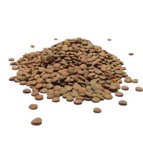 Φακές Χονδρές ΑΑ ( BNP ) Εισαγωγής