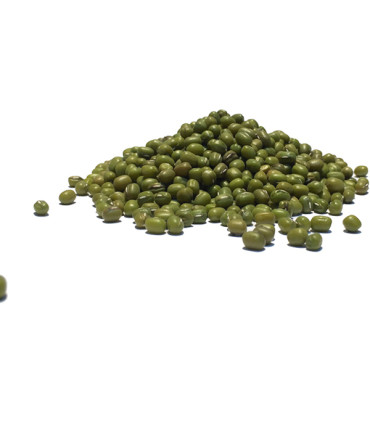 Φασόλι Ροβίτσα Εισαγωγής