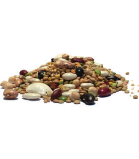 Οσπριάδα Ελλάδος