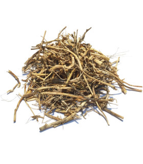 Τσάι-Βότανο Αγριάδα