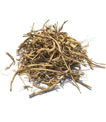 Τσάι-Βότανο Αγριάδα