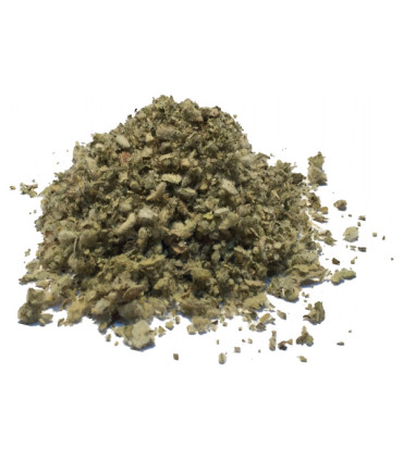 Τσάι-Βότανο Βερμπάσκο ή Φλόμος