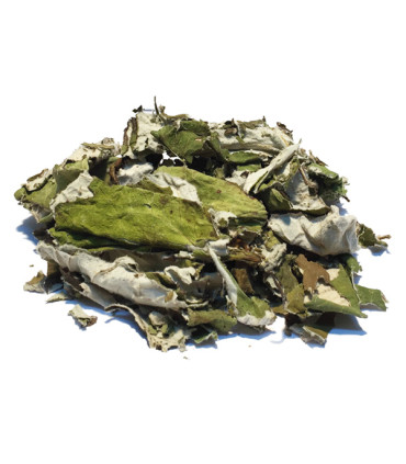 Τσάι-Βότανο Βήχιο