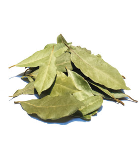 Δάφνη Αποξηραμένη Χειροδιαλογής