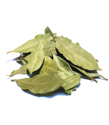 Δάφνη Αποξηραμένη Χειροδιαλογής