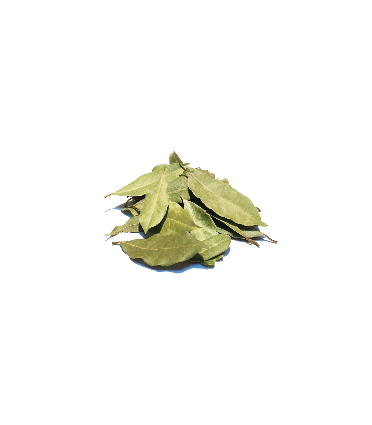 Δάφνη Αποξηραμένη Χειροδιαλογής