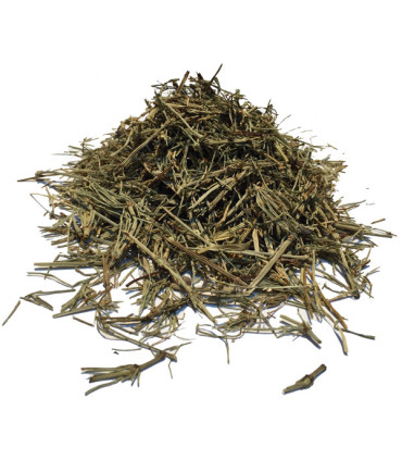 Τσάι-Βότανο Εκουϊζέτο