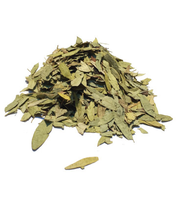 Τσάι-Βότανο Φύλλα Σιναμικής-Senna