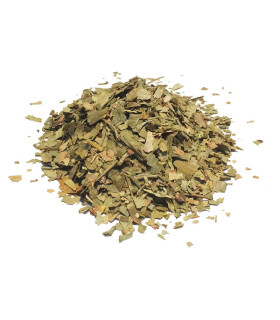 Τσάι-Βότανο Γκίγκο το Δίλοβο-Ginkgo Biloba