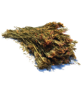 Τσάι-Βότανο Κενταύριο-Ερυθραία