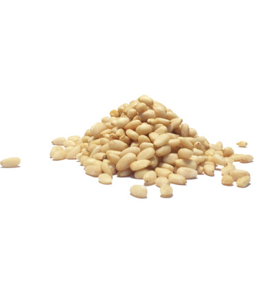 Κουκουνάρι Εισαγωγής