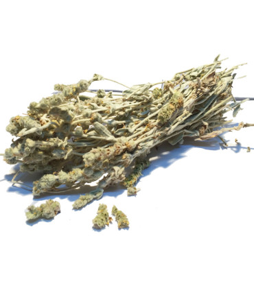 Λευκό Τσάι Βουνού