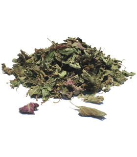 Τσάι-Βότανο Μελισσόχορτο