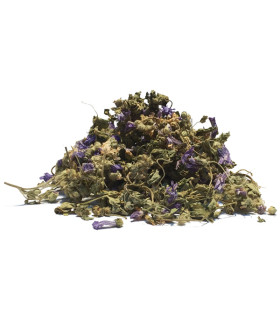 Τσάι-Βότανο Μολόχα