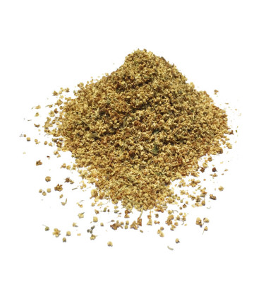 Τσάι-Βότανο Σαμπούκος