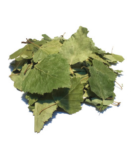 Τσάι-Βότανο Σημύδα