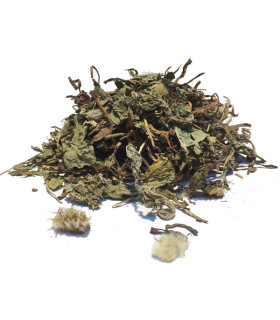 Τσάι-Βότανο Ταραξάκο