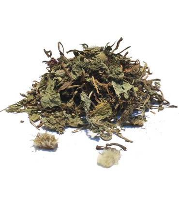 Τσάι-Βότανο Ταραξάκο