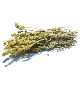 Τσάι Βουνού