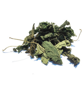 Τσάι-Βότανο Τσουκνίδα