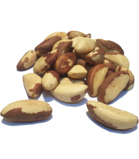 Brazil Nuts Εισαγωγής