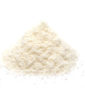 Ινδοκάρυδο