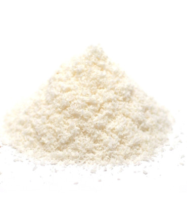 Ινδοκάρυδο