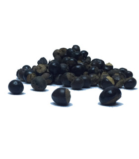 Τσάι-Βότανο Γκουαρανά