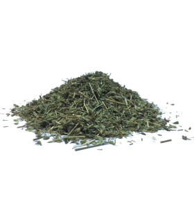 Τσάι-Βότανο Ύσωπος