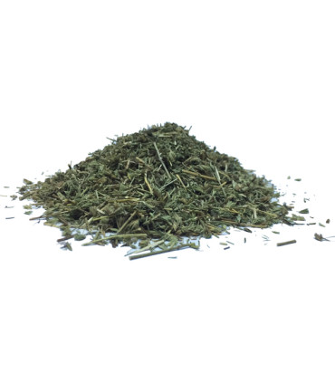 Τσάι-Βότανο Ύσωπος