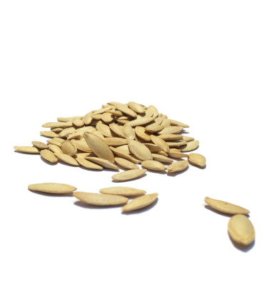 Σπόρια Άσπρα Ελλάδος Ψημένα Ελαφρώς Αλατισμένα