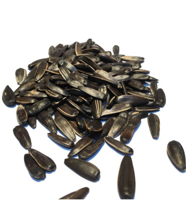 Ηλιόσπορος Ψημένος Ανάλατος