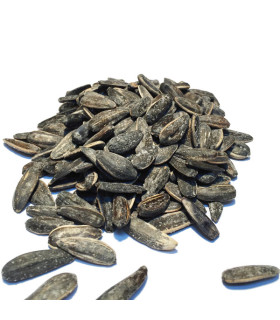 Ηλιόσπορος Ψημένος Ελαφρώς Αλατισμένος