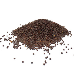 Συνάπι Καφέ