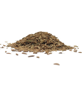 Γλυκάνισος Σπυρί