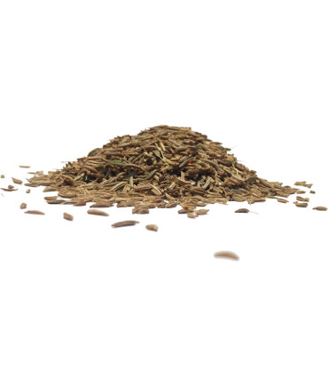 Γλυκάνισος Σπυρί